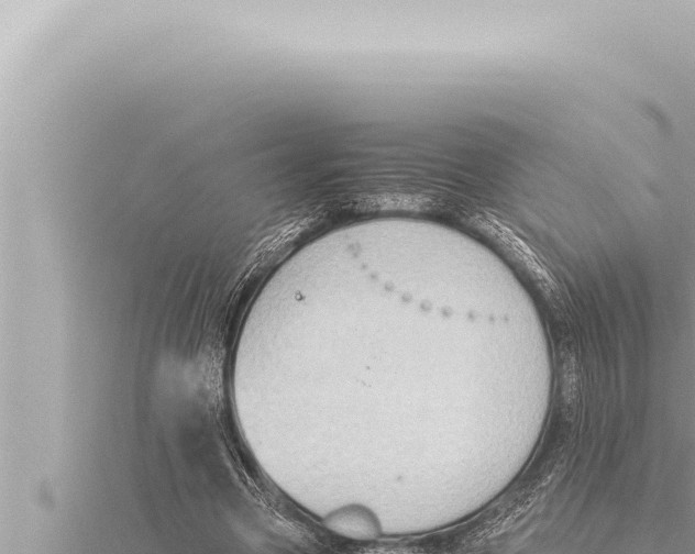 X0000115410537200912011227