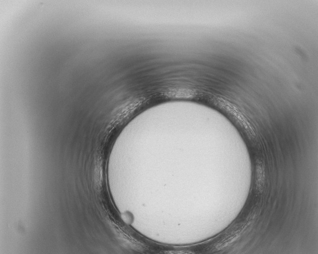 X0000115410541200912011227