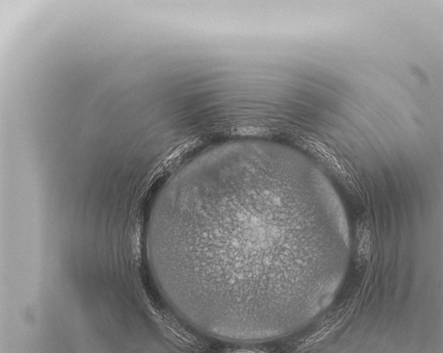 X0000115410542200912011227