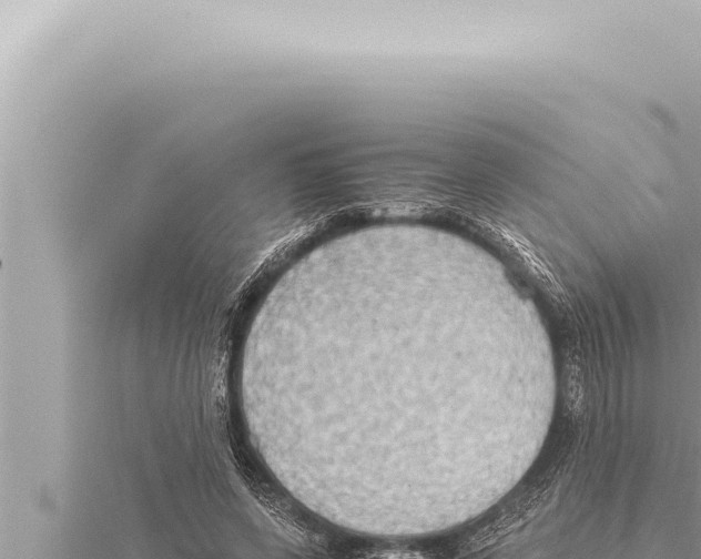 X0000115410543200912011227