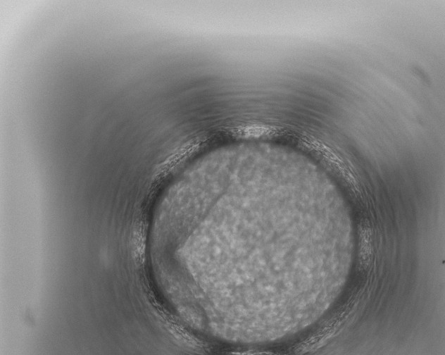 X0000115410545200912011227