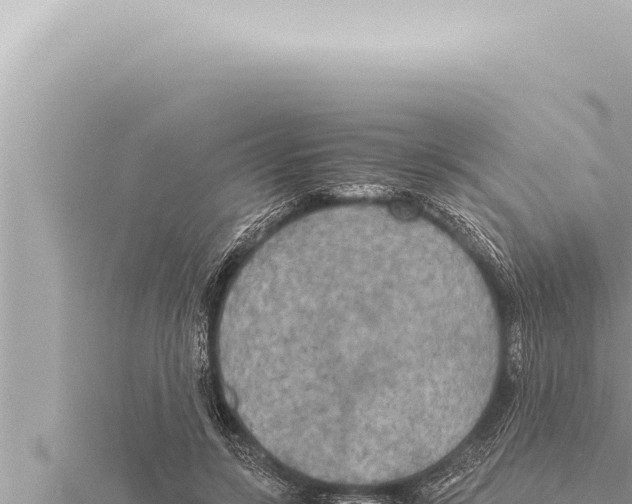 X0000115410547200912011227