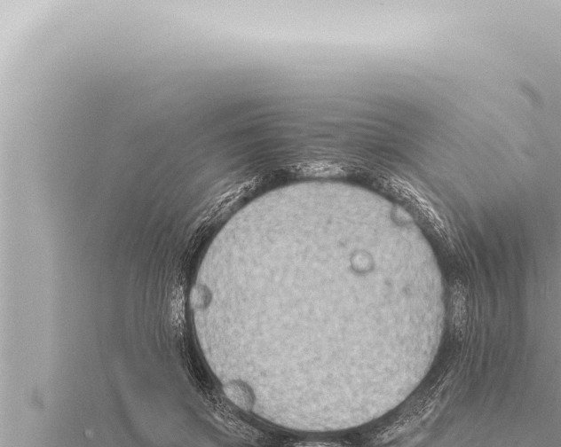 X0000115410549200912011227