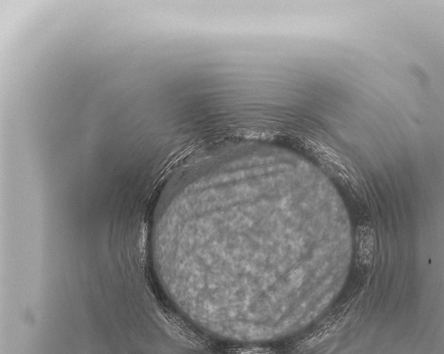 X0000115410550200912011227