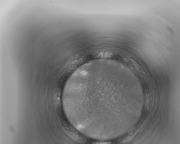 X0000115410553200912011227