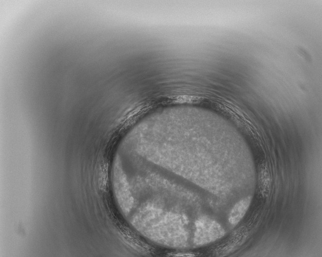 X0000115410554200912011227