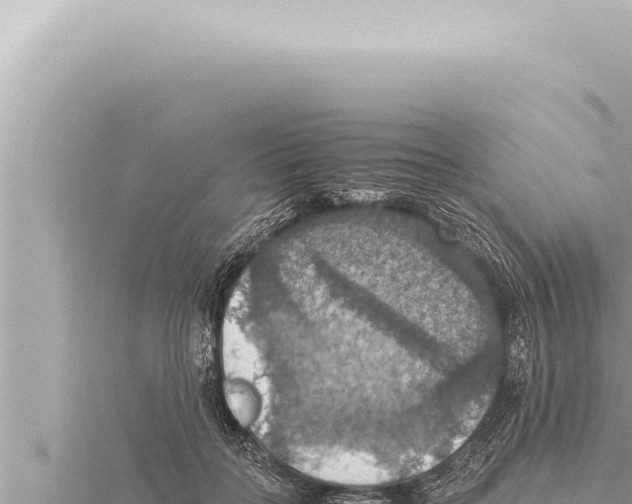 X0000115410555200912011227