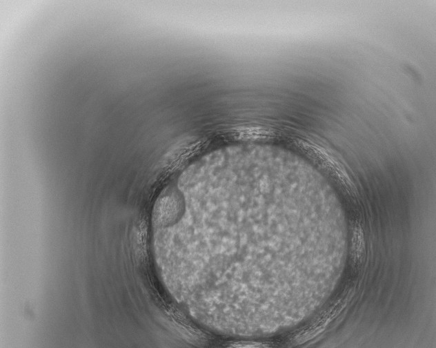 X0000115410557200912011227