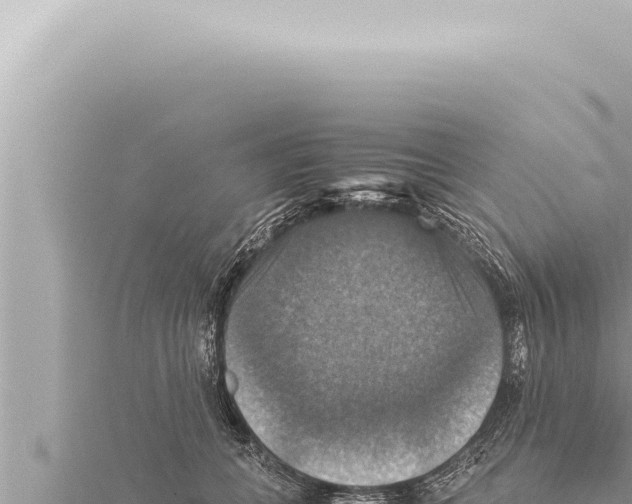 X0000115410559200912011227