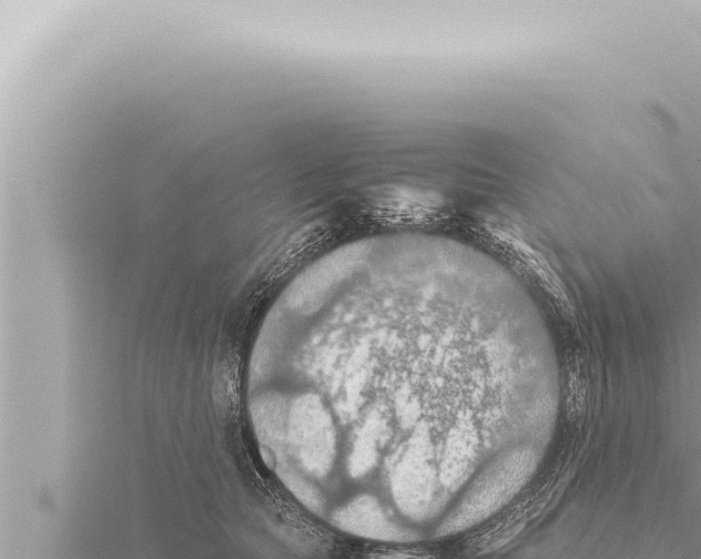 X0000115410561200912011227