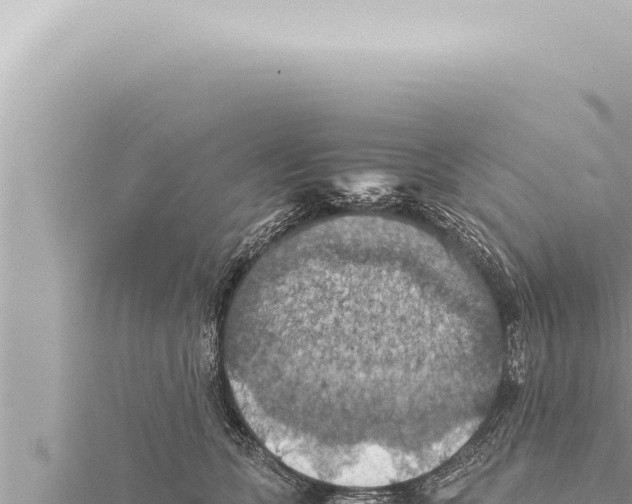 X0000115410563200912011228