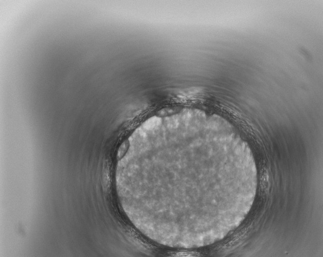 X0000115410566200912011228