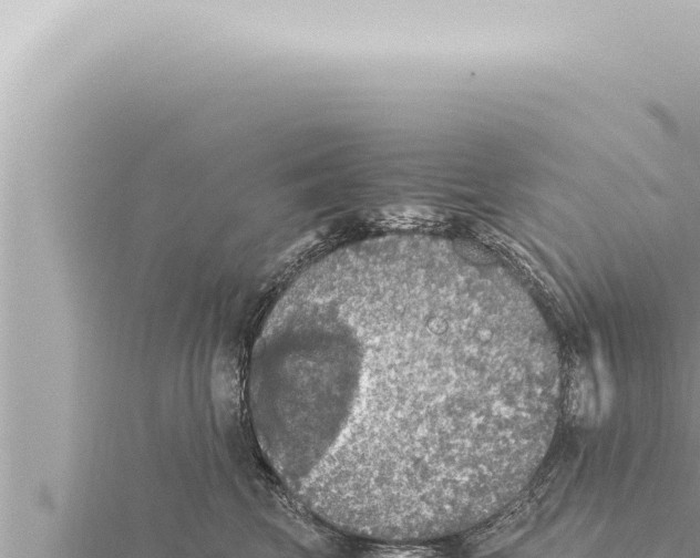 X0000115410569200912011228