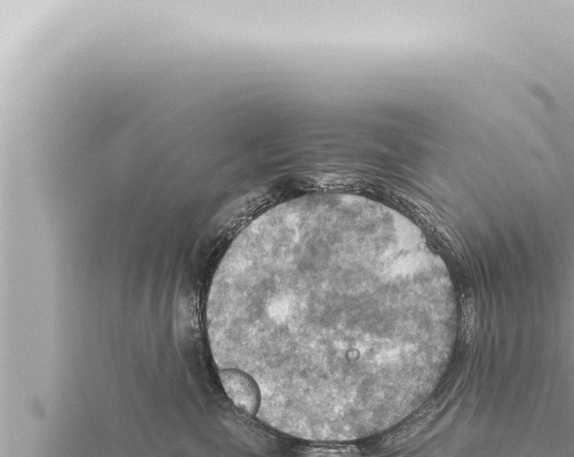 X0000115410571200912011228