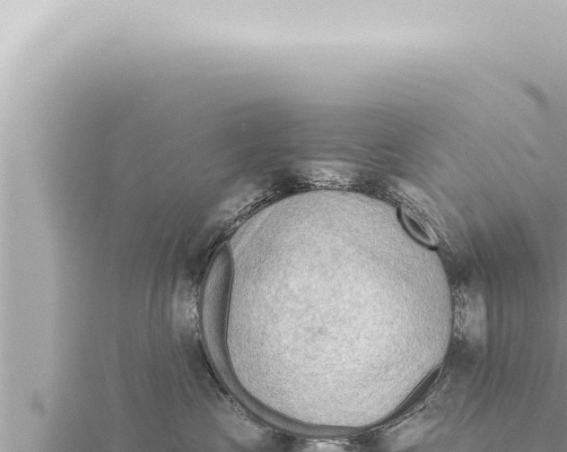 X0000115410573200912011228