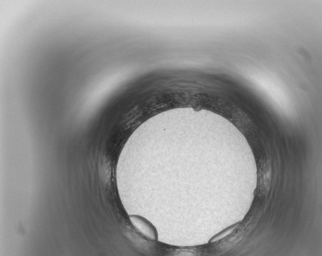 X0000115410574200912011228