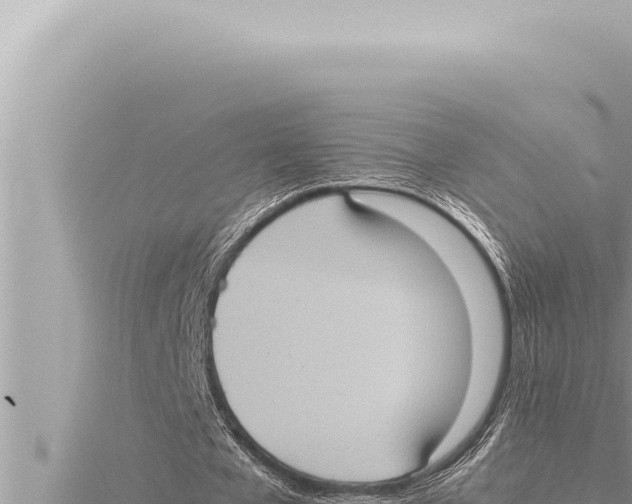 X0000115410577200912011227