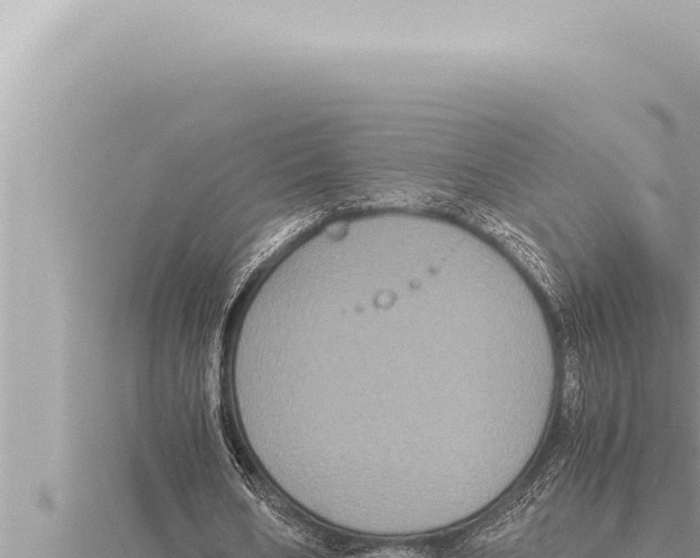 X0000115410578200912011227