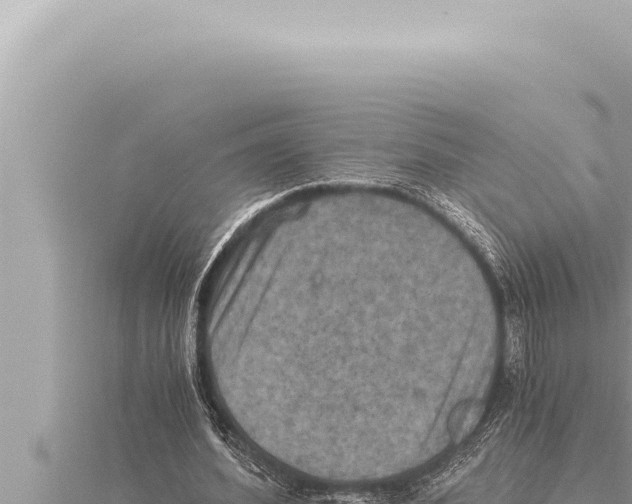 X0000115410580200912011227