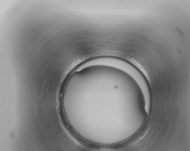 X0000115410581200912011227