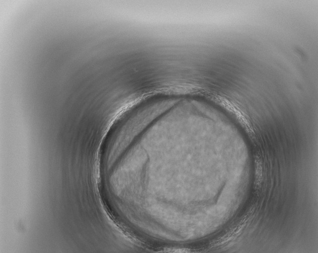 X0000115410582200912011227