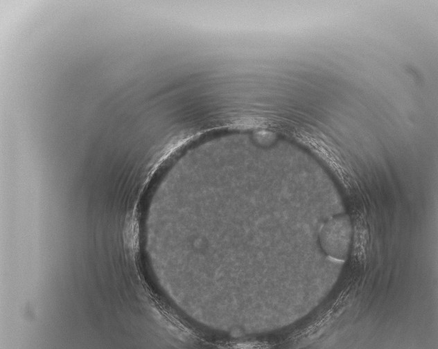 X0000115410584200912011227