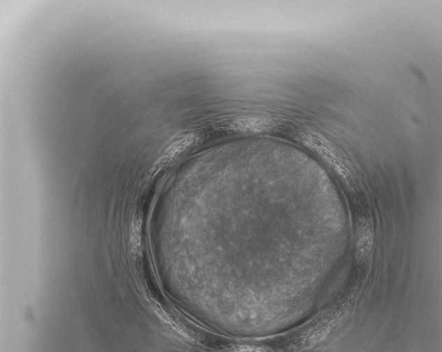 X0000115410585200912011227