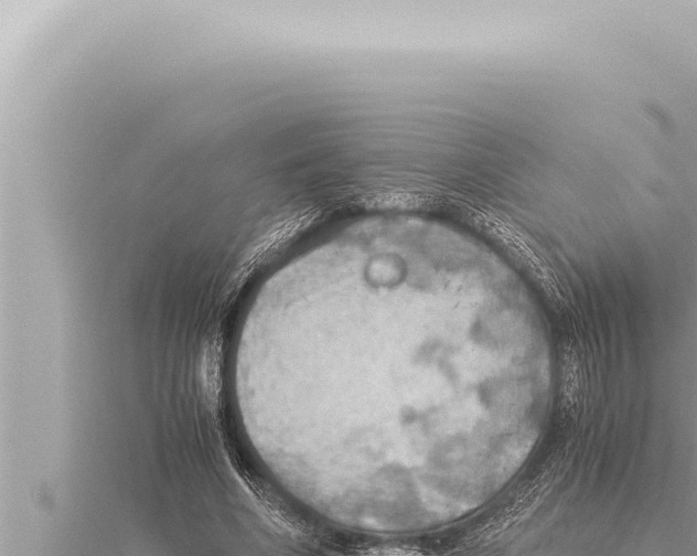 X0000115410586200912011227