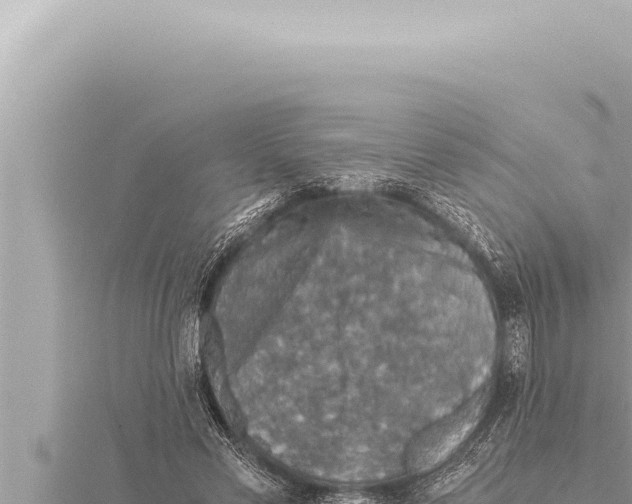 X0000115410589200912011227