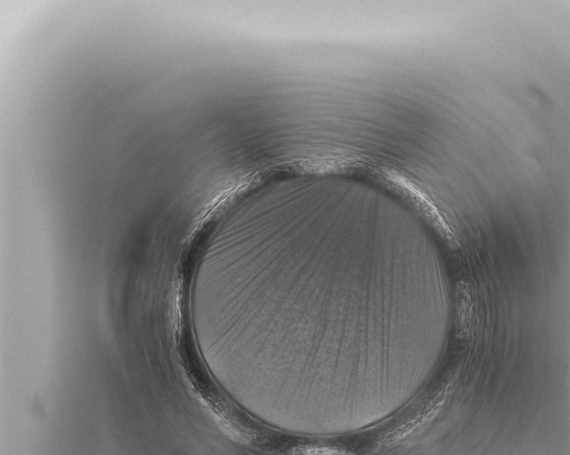 X0000115410590200912011227