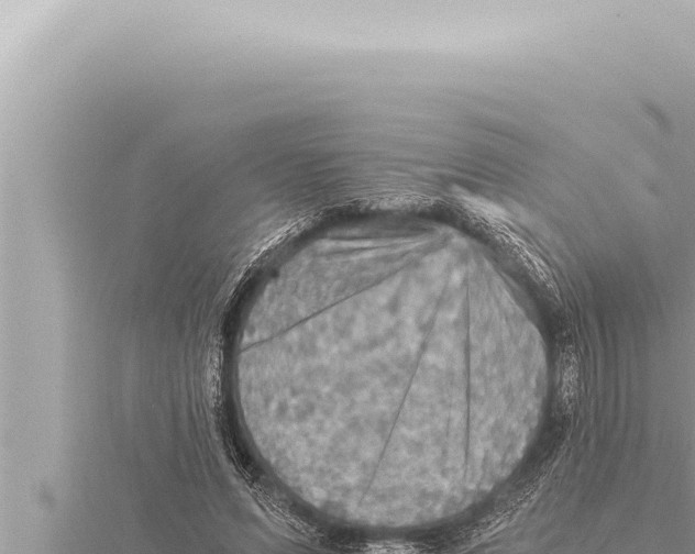 X0000115410591200912011227