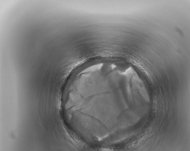 X0000115410592200912011227