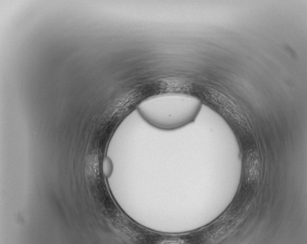 X0000115410595200912011227