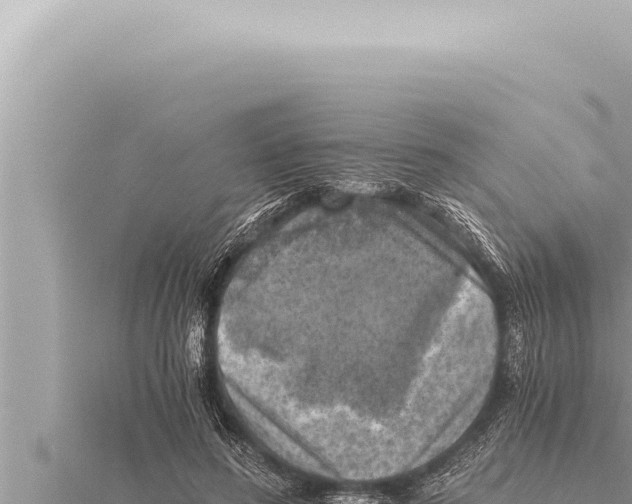 X0000115410596200912011227