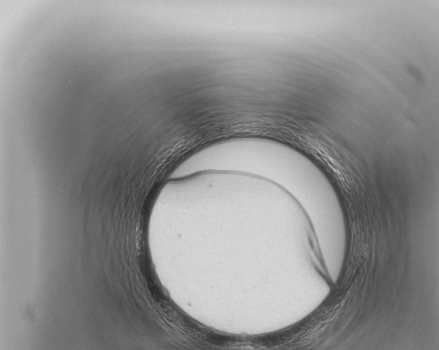 X0000115410597200912011227