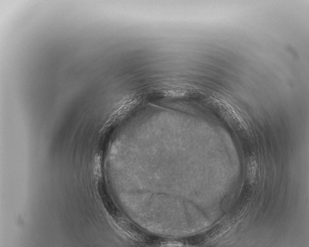 X0000115410598200912011227