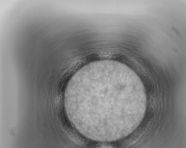 X0000115410601200912011227