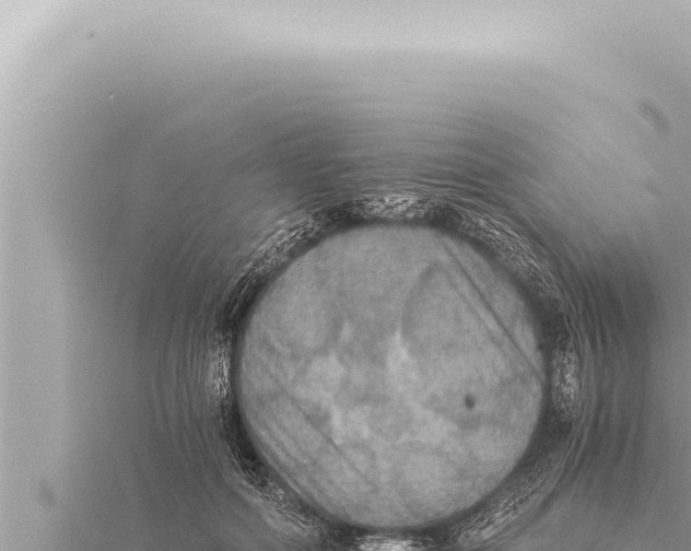 X0000115410602200912011227