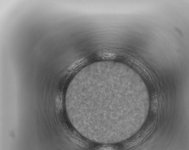 X0000115410604200912011227