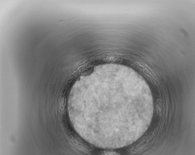 X0000115410605200912011227