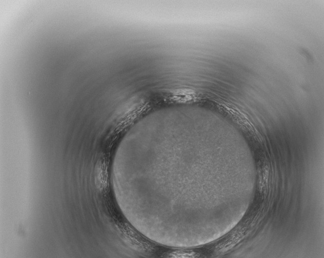 X0000115410606200912011227