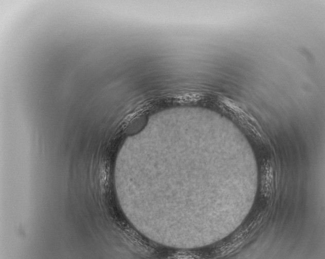 X0000115410608200912011227