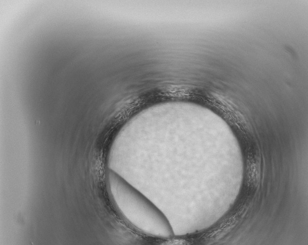 X0000115410609200912011227