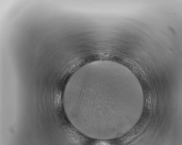 X0000115410610200912011227