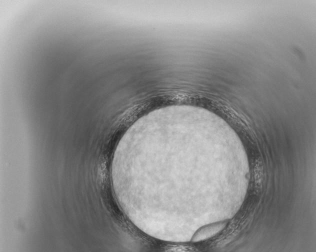 X0000115410611200912011227