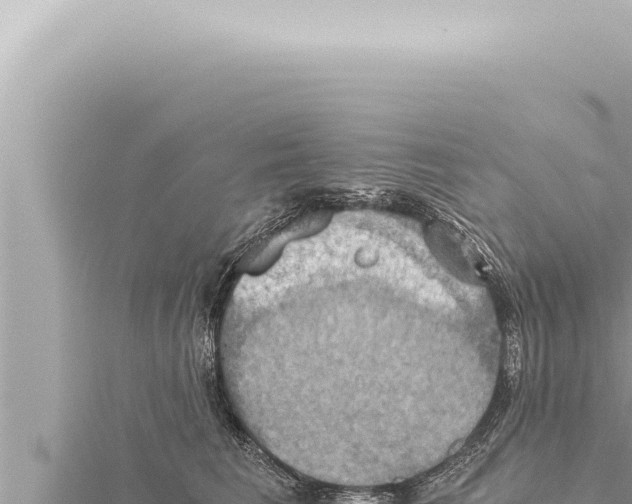 X0000115410613200912011227