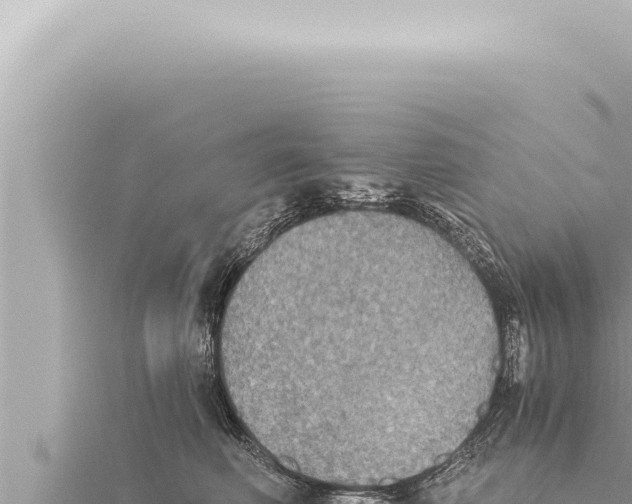 X0000115410614200912011227