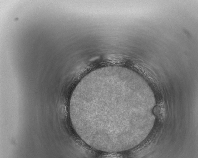 X0000115410615200912011227