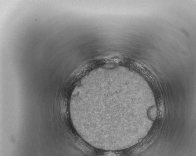 X0000115410616200912011227