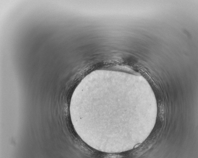 X0000115410617200912011227